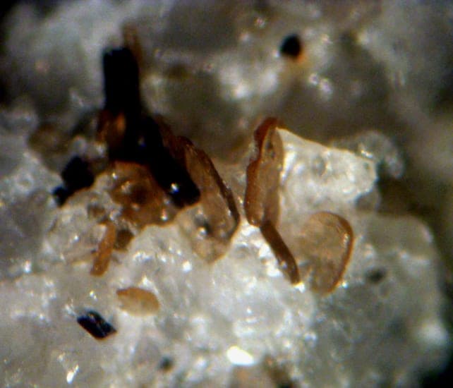 Kinoshitalite mineral