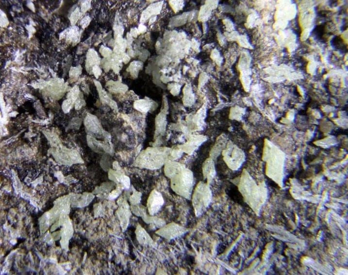 Kladnoite mineral