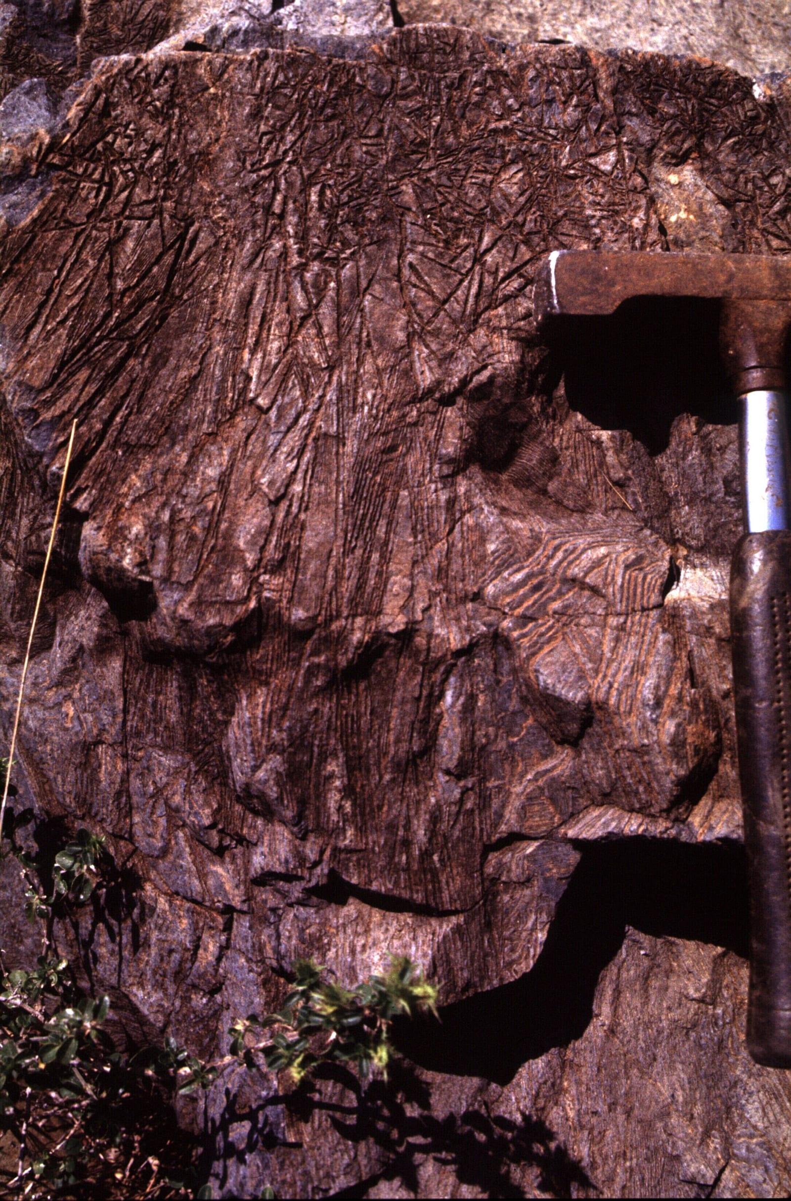 Komatiite igneous