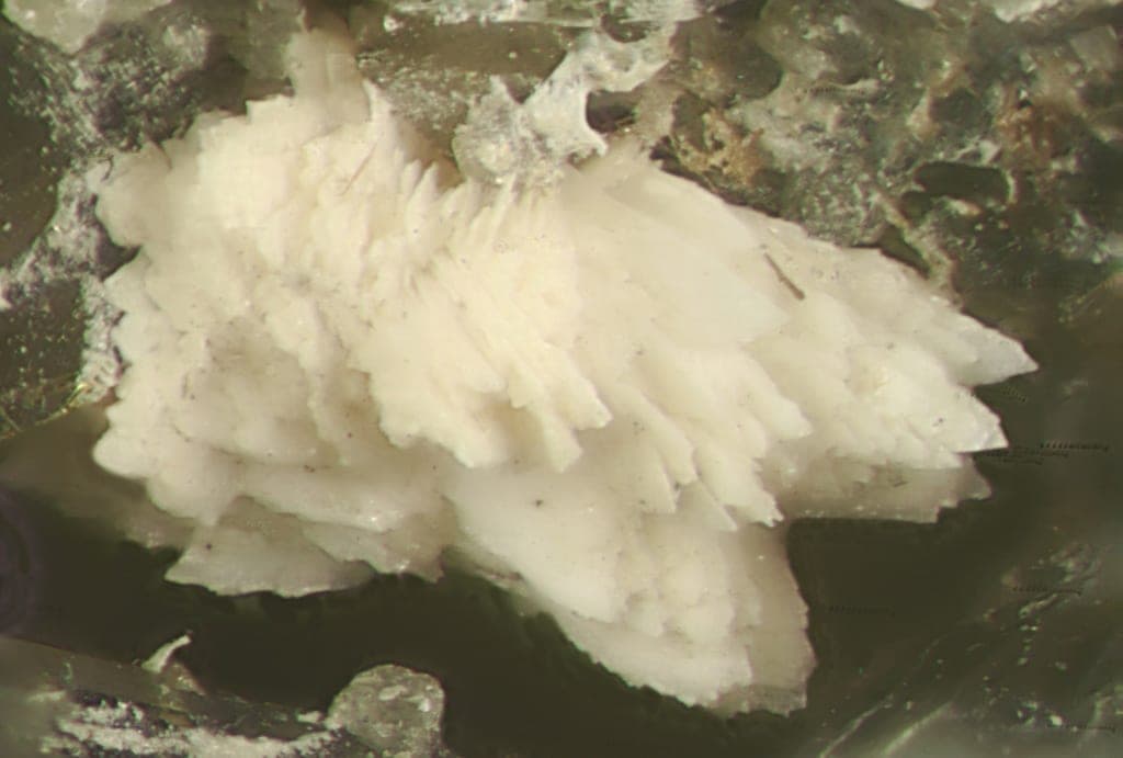 Lanthanite-(Ce) mineral — Lanthanite (Ce) 174384