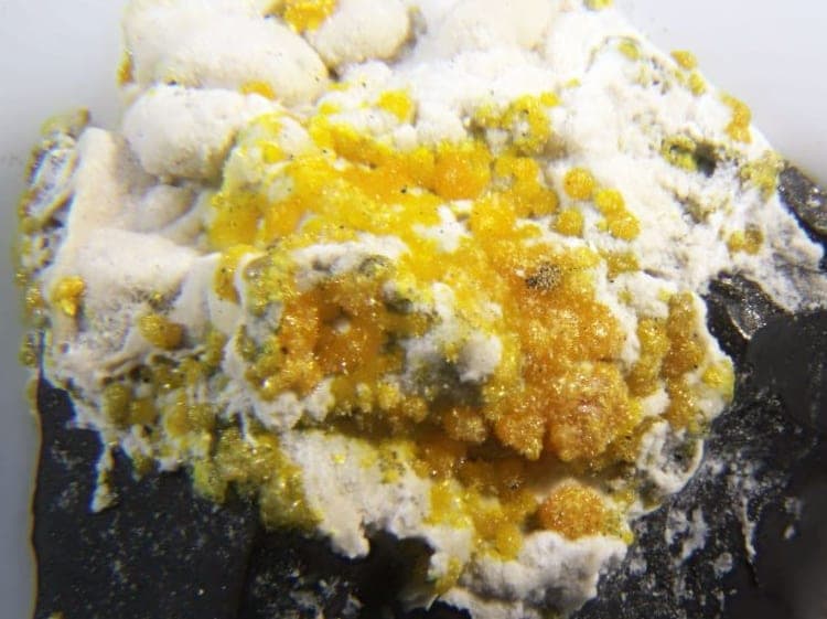 Laphamite mineral