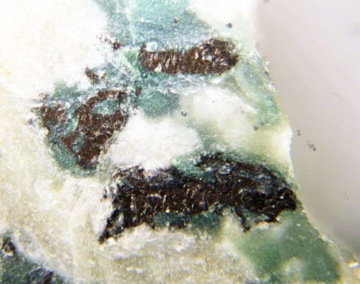 Lapieite mineral