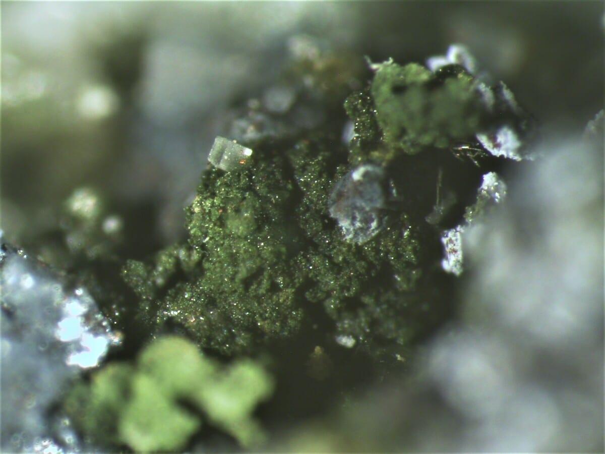 Lehmannite mineral