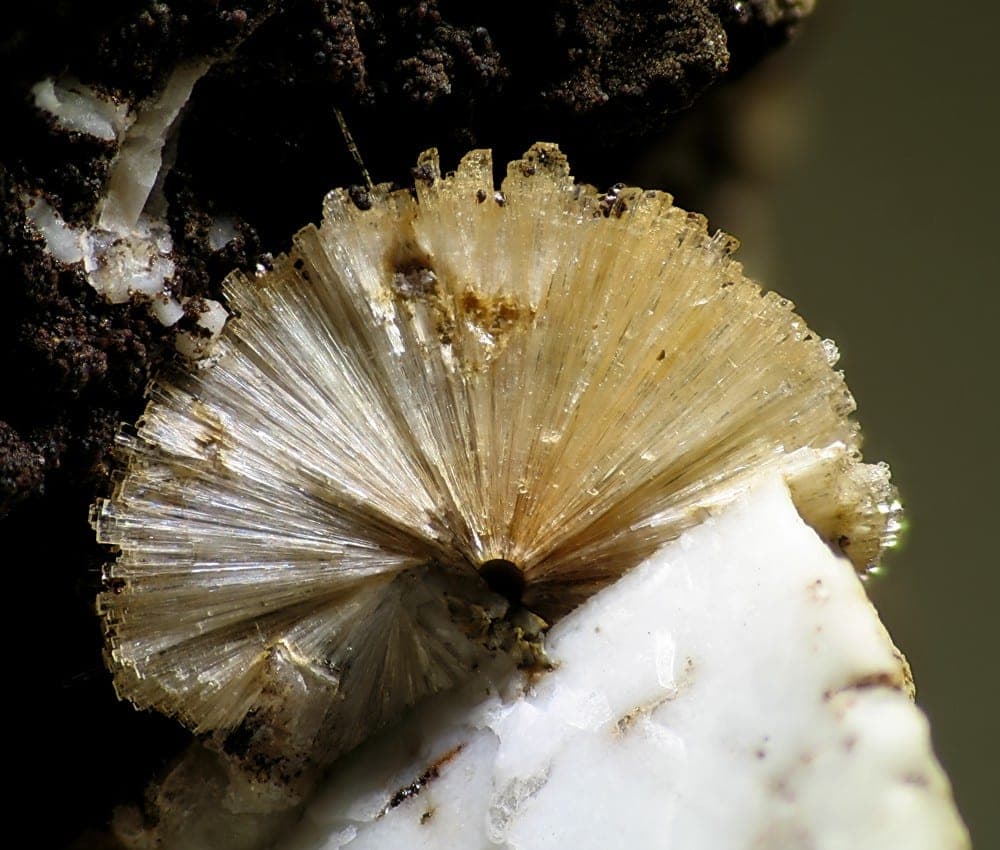 Lemoynite mineral