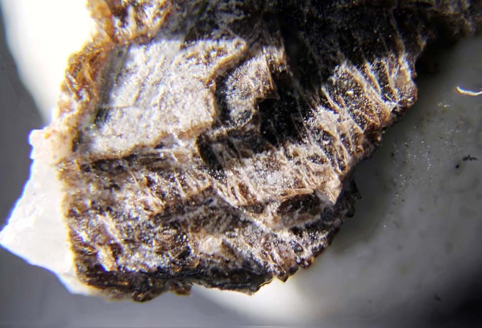 Lomonosovite mineral