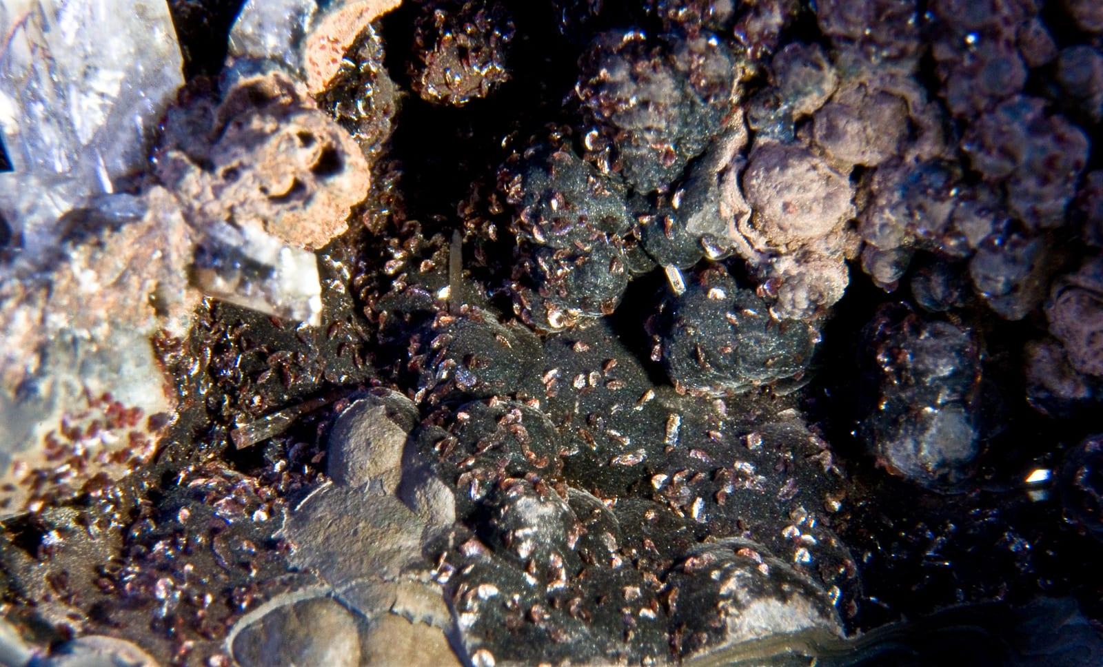 Lotharmeyerite mineral