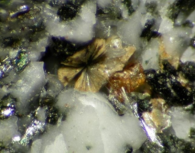 Lourenswalsite mineral