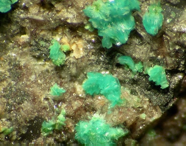 Luetheite mineral