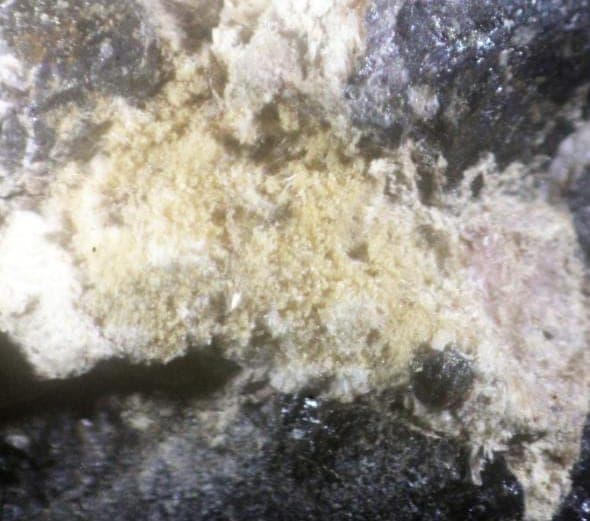Magnesiochlorophoenicite mineral