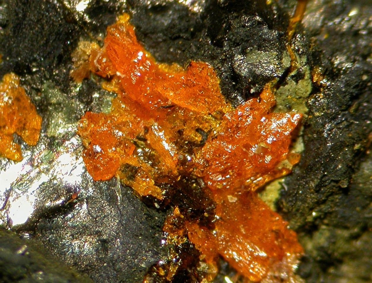 Magnesiopascoite mineral