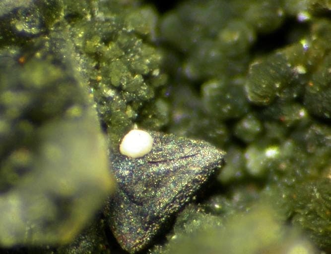 Malhmoodite mineral
