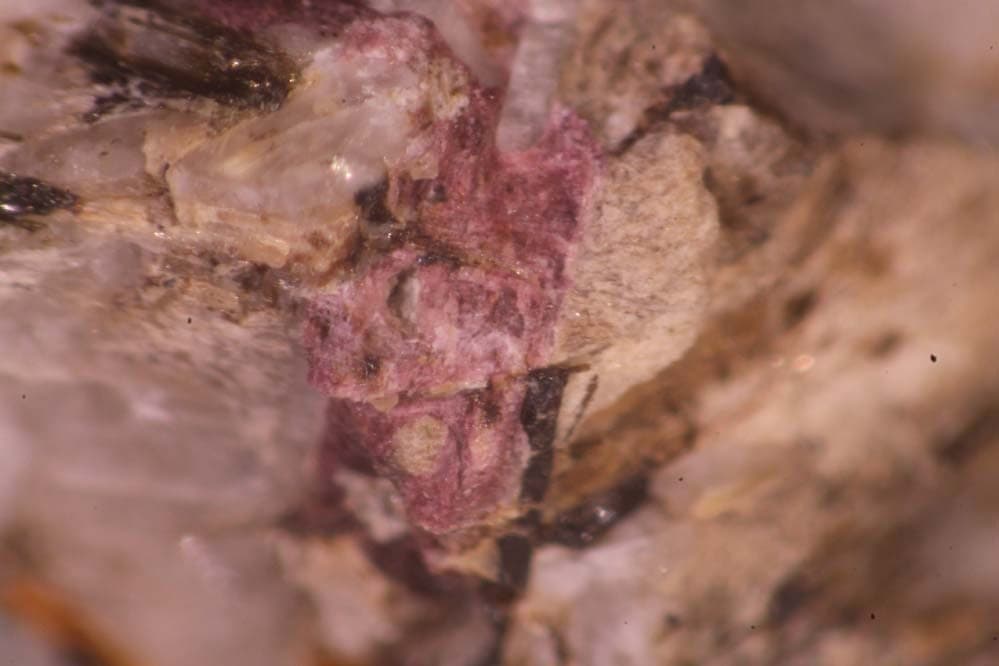 Manganoeudialyte mineral