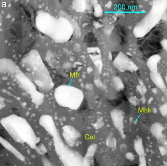 Maohokite mineral