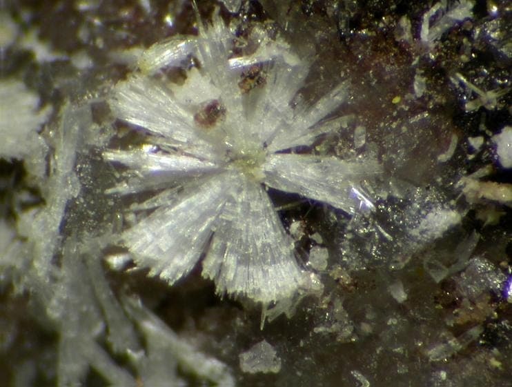Maricopaite mineral