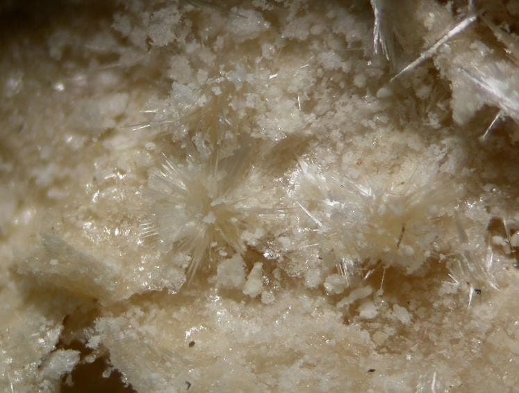 Mascagnite mineral