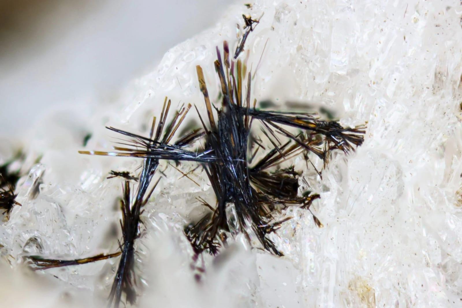 Mendigite mineral