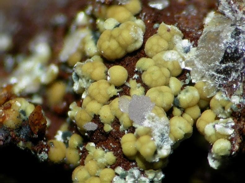 Meurigite-K mineral — Meurigite K 100972