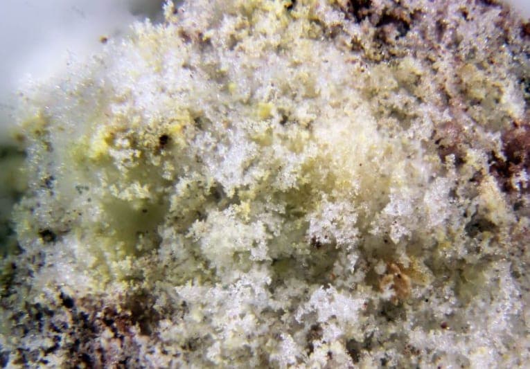 Mohrite mineral