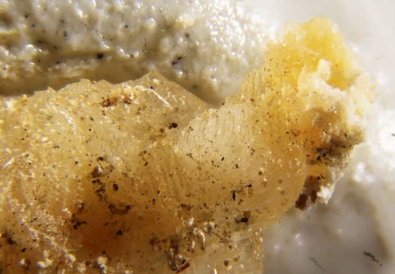 Monetite mineral
