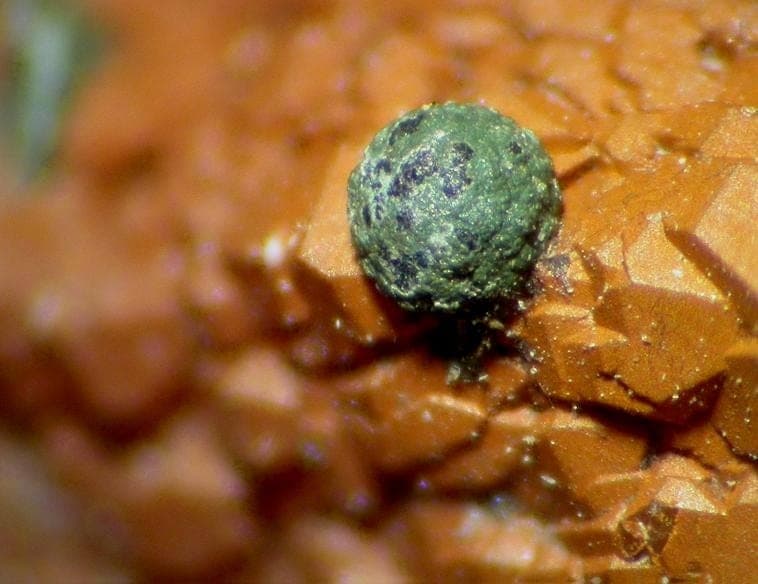 Natrodufrénite mineral — Natrodufrenite 95023