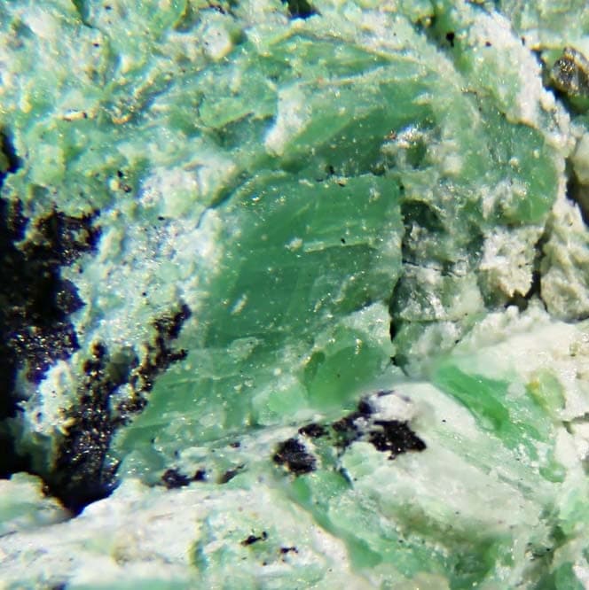 Nickeltalmessite mineral
