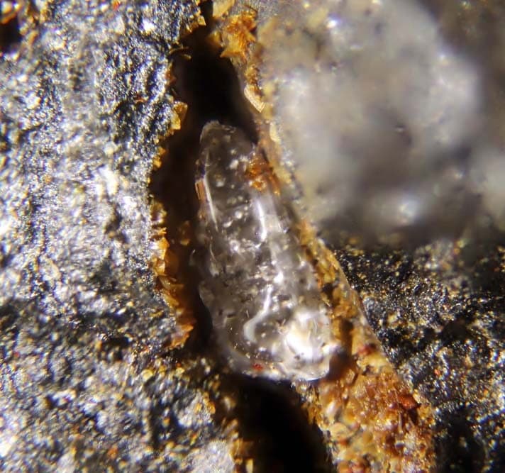 Nitrobarite mineral