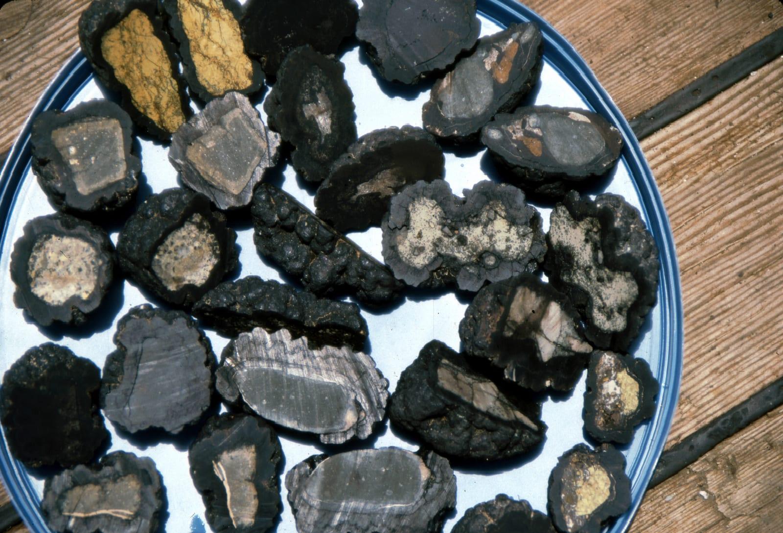Nodules sedimentary — What's In a Nodule?   NOAA Ocean Exploration