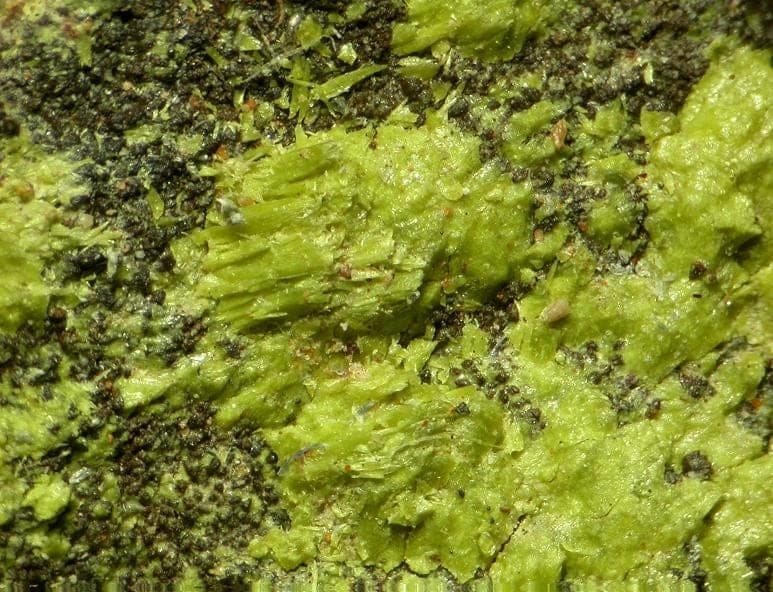 Nontronite mineral