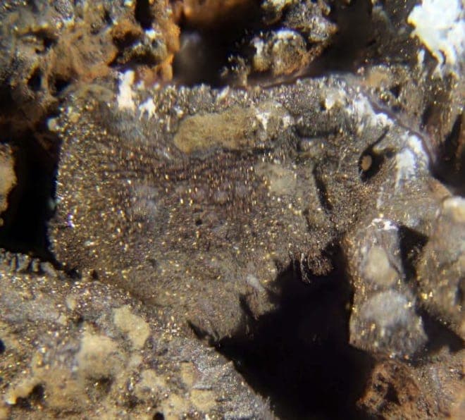 Ottemannite mineral