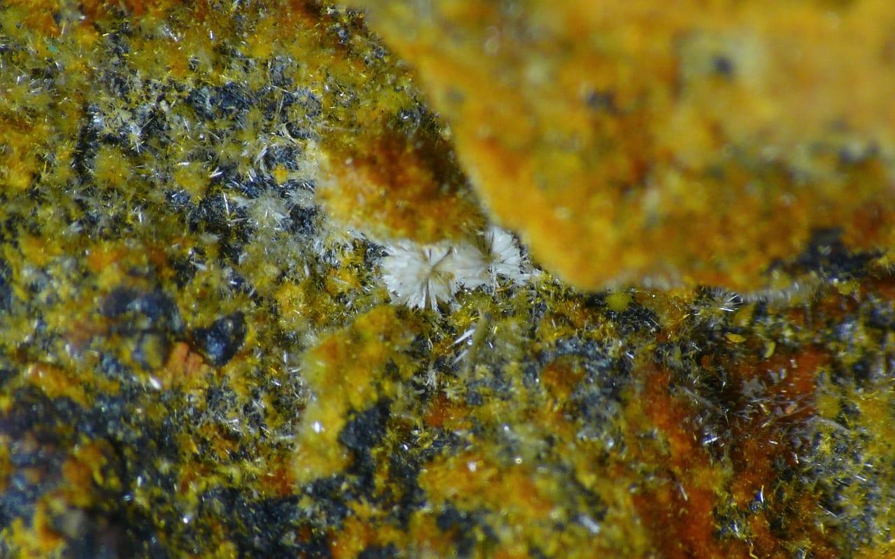 Oursinite mineral