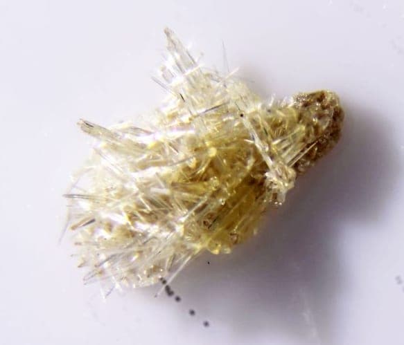 Paulmooreite mineral