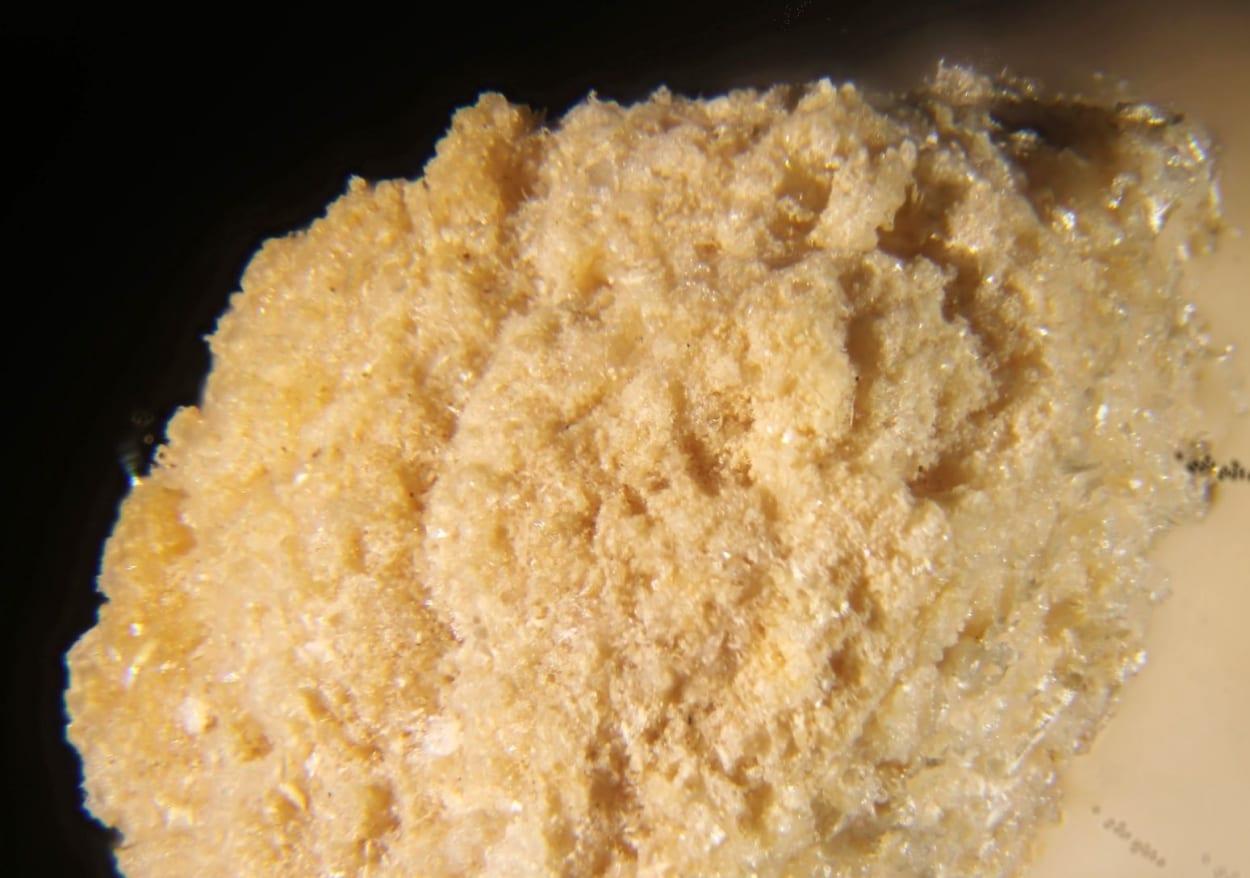 Phosphammite mineral