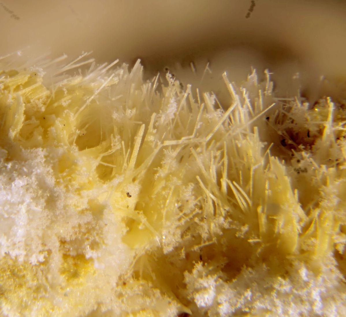 Phosphorrösslerite mineral