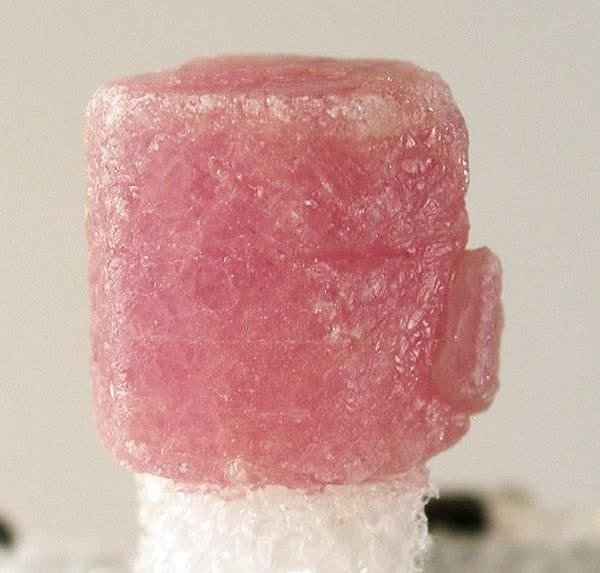 Pink Sapphire specimen - Corundum 246457