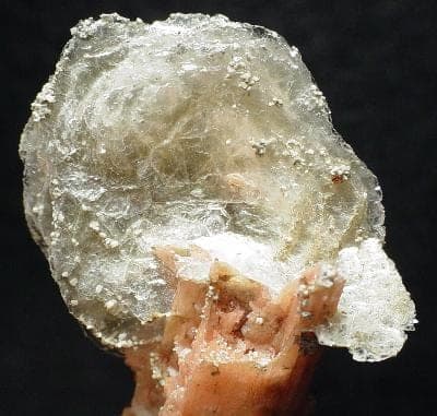 Polylithionite mineral