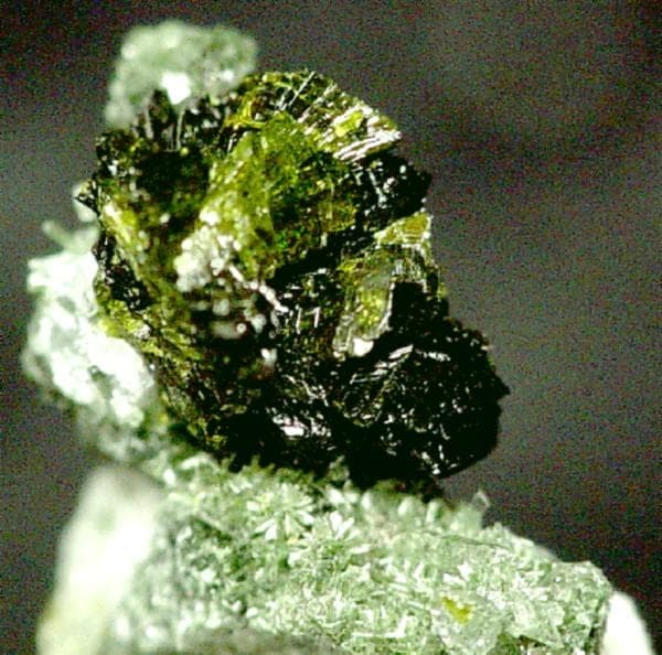 Pumpellyite-(Mg) mineral — Pumpellyite (Mg) Quartz 21371