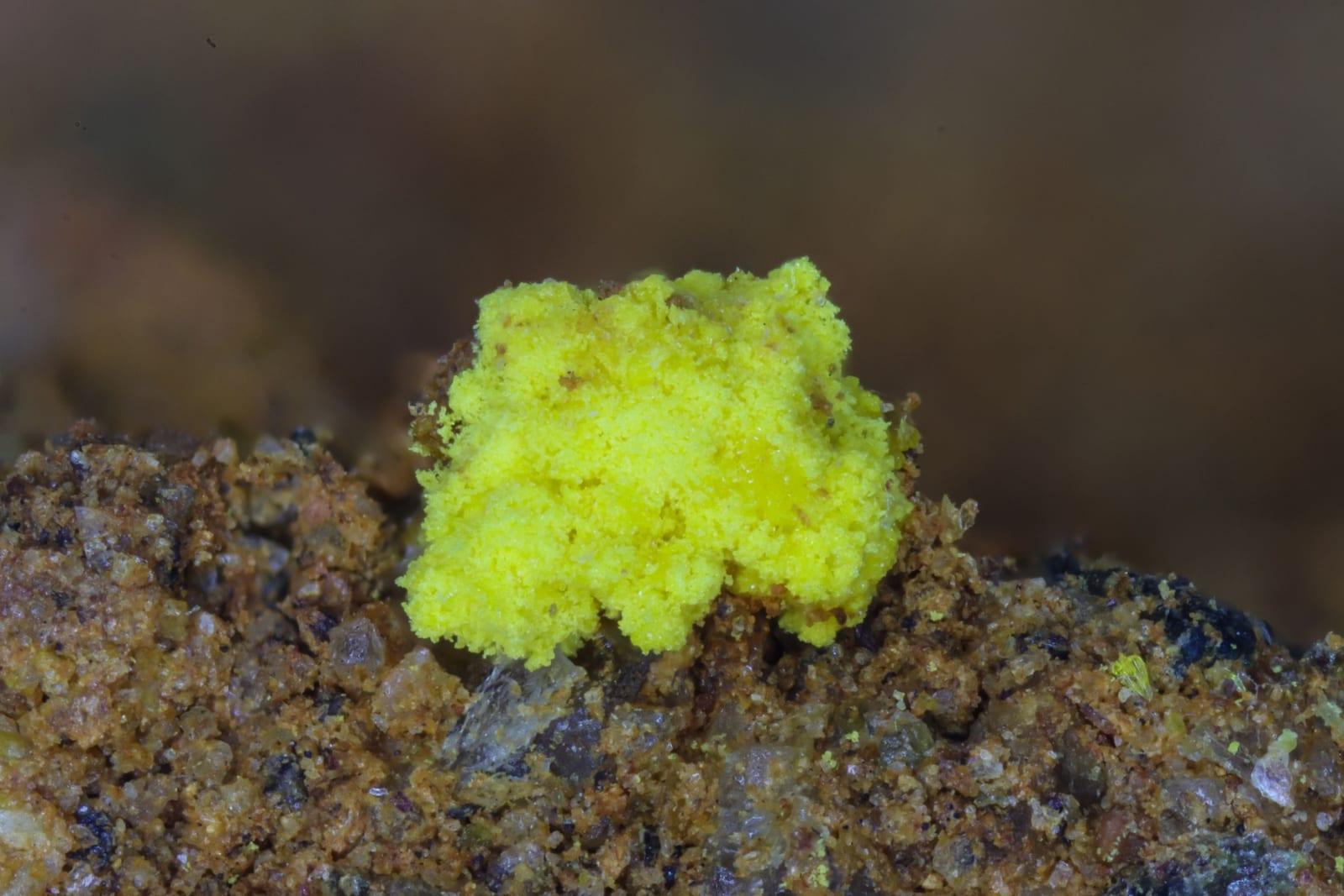 Rabejacite mineral