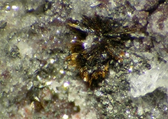 Rankachite mineral