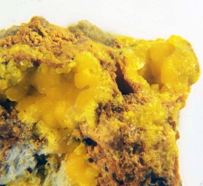 Ranunculite mineral