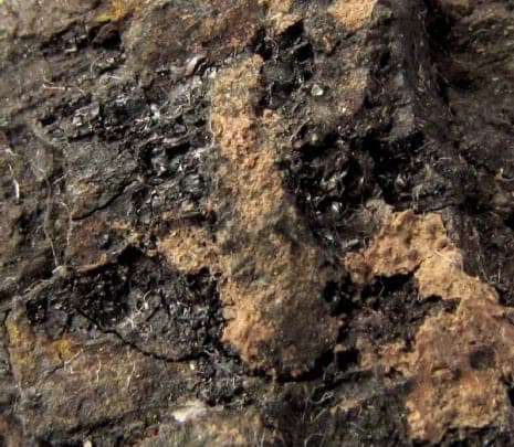 Rauvite mineral