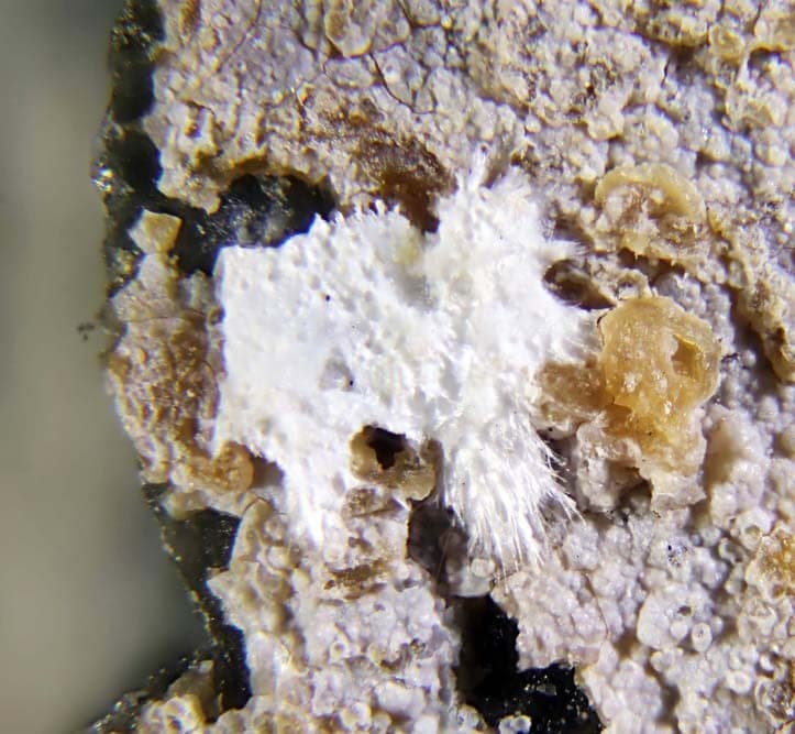 Rhodesite mineral
