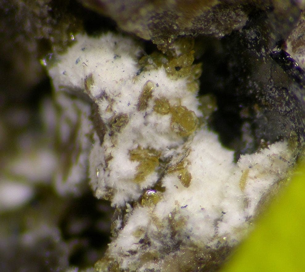 Rittmannite mineral