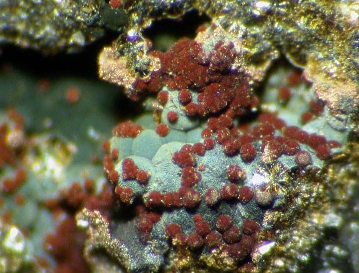 Robertsite mineral