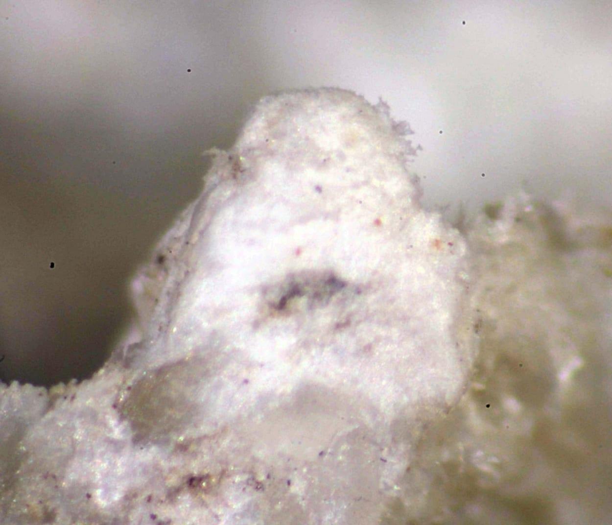 Roggianite mineral