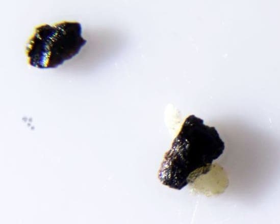 Roshchinite mineral