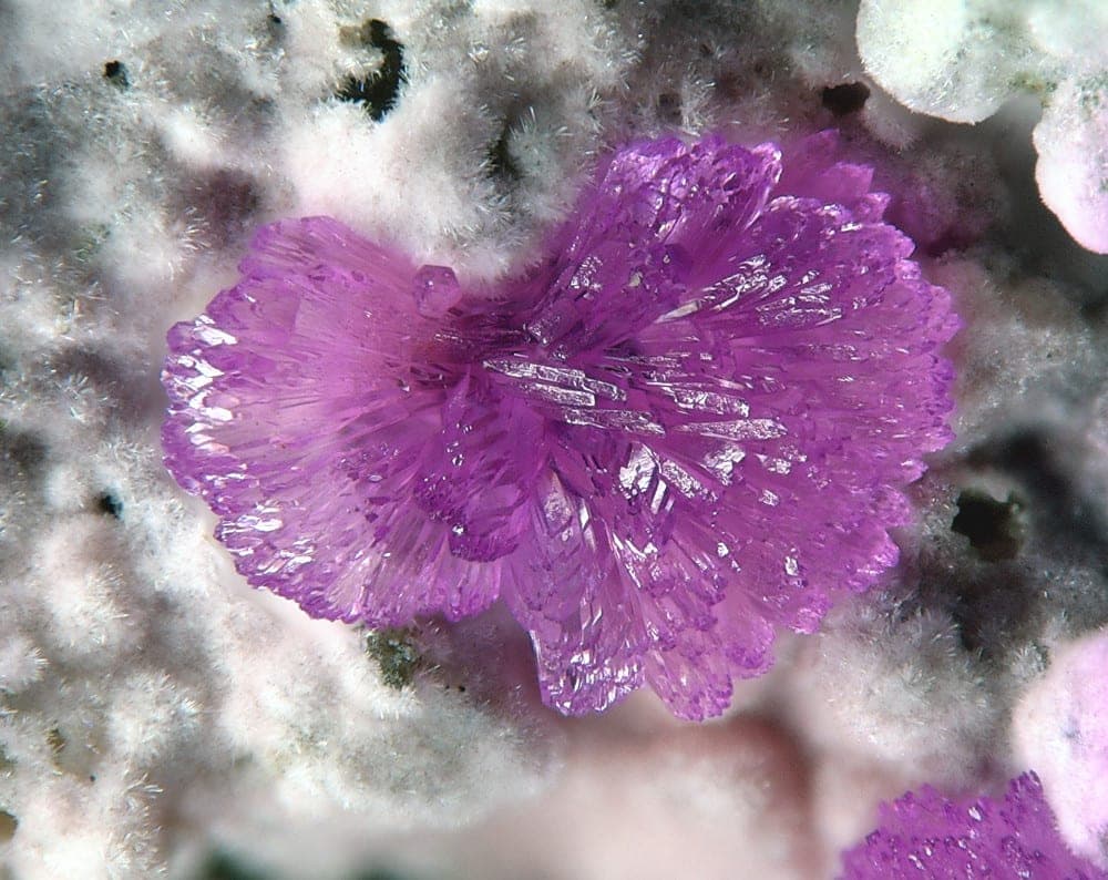 Sainfeldite mineral