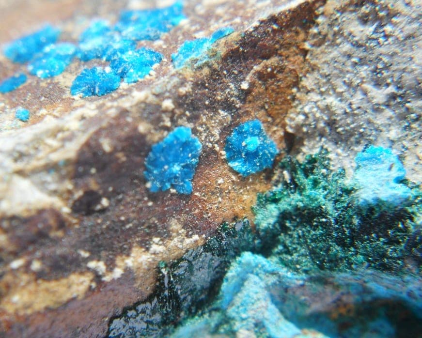 Sampleite mineral