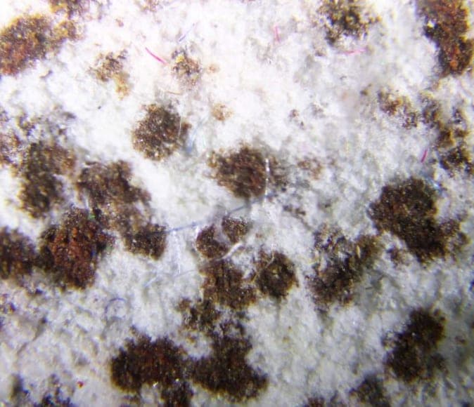 Sarmientite mineral