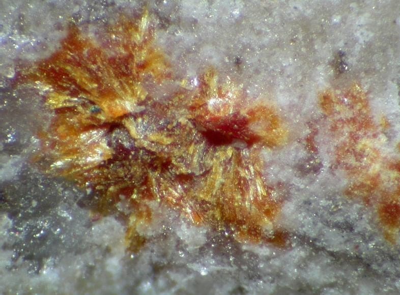 Scheuchzerite mineral