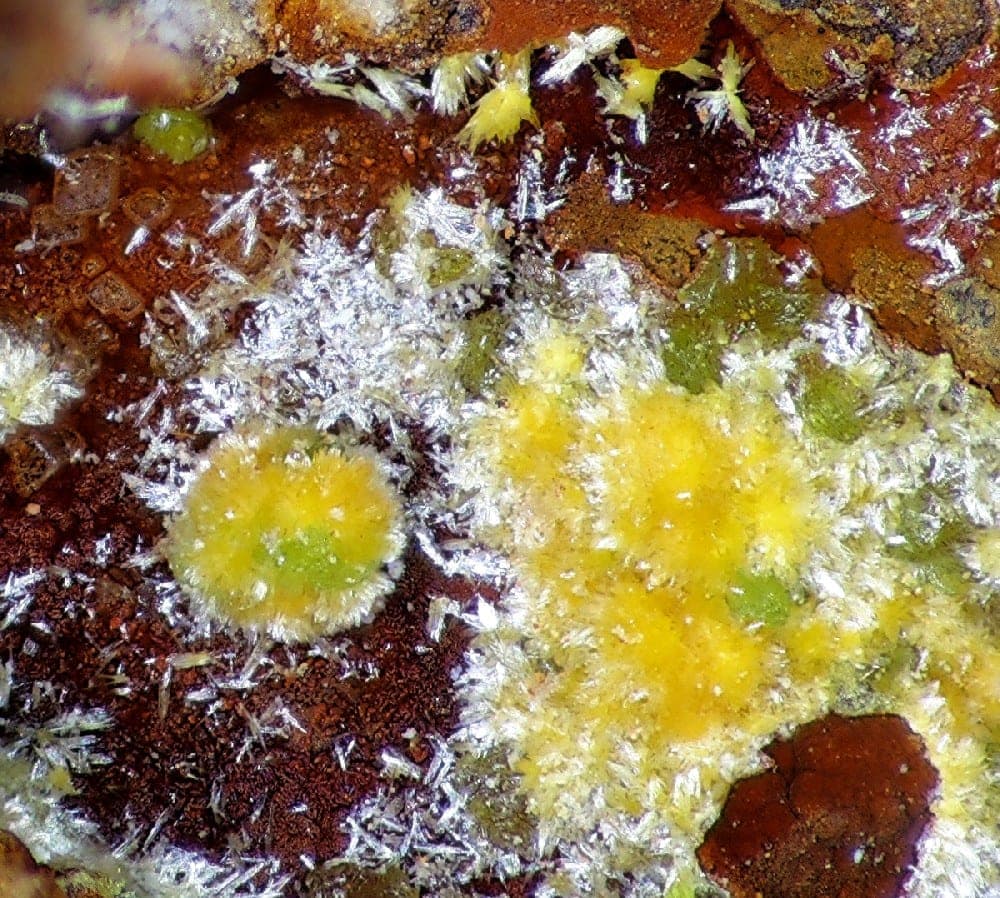 Schmitterite mineral
